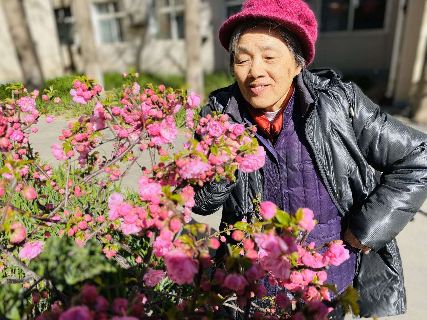 千禾故事|千禾战“疫”故事(21):且待春和款款行